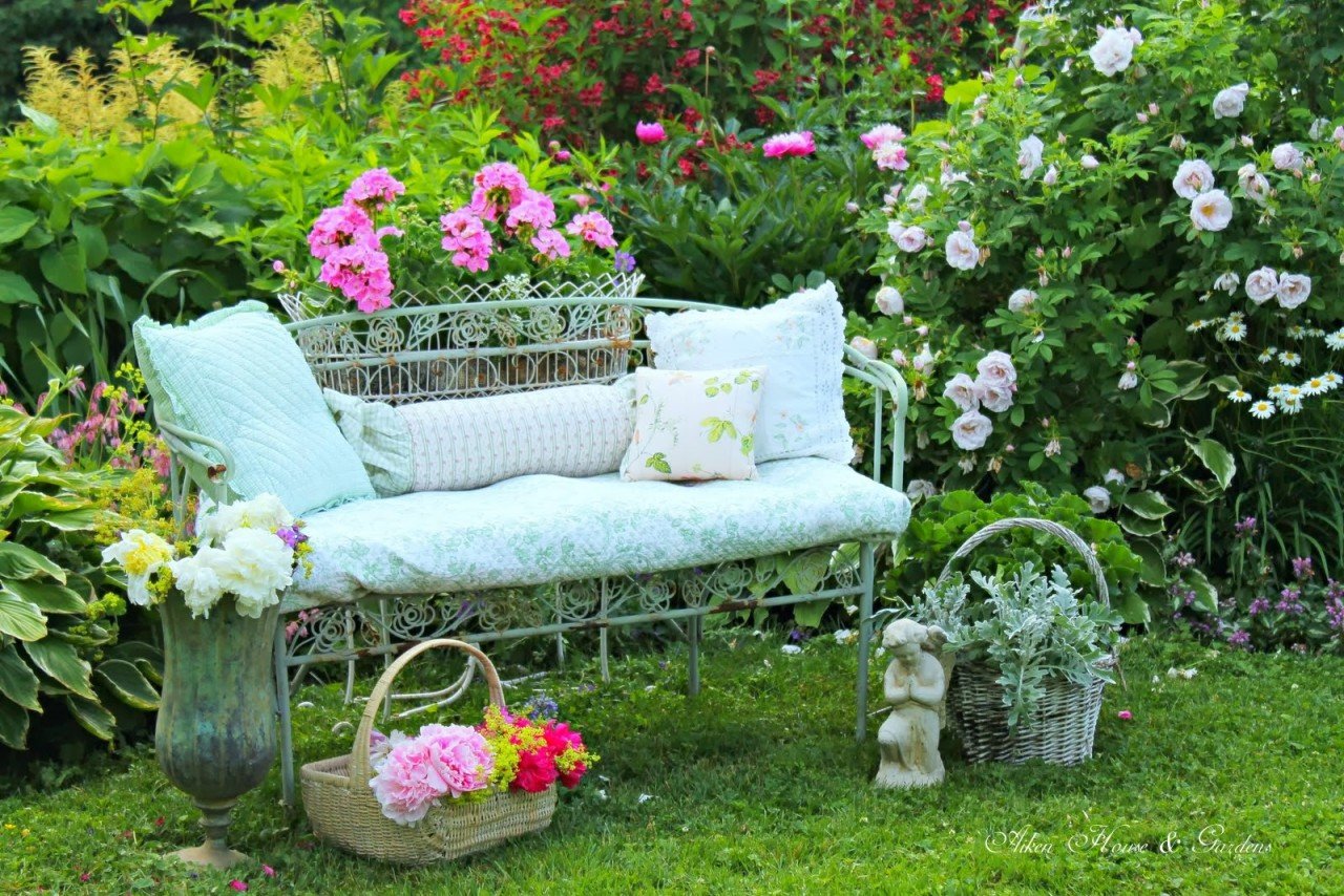 summer garden