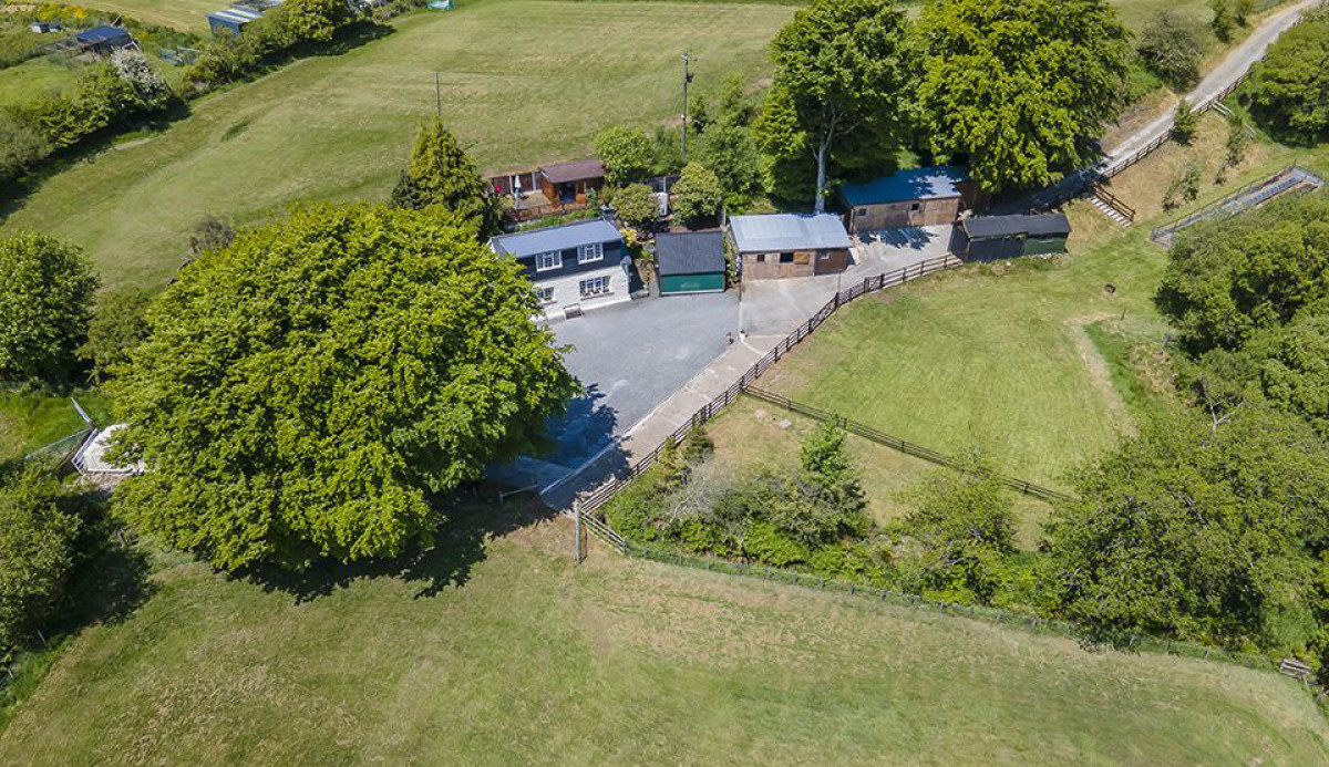 Online Estate Agents: Is Sticking to a Niche Preferable, or Should Agents Try to ‘Do it All’?