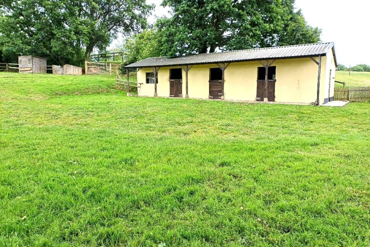 Broadwoodkelly, Winkleigh, EX19, photo 47